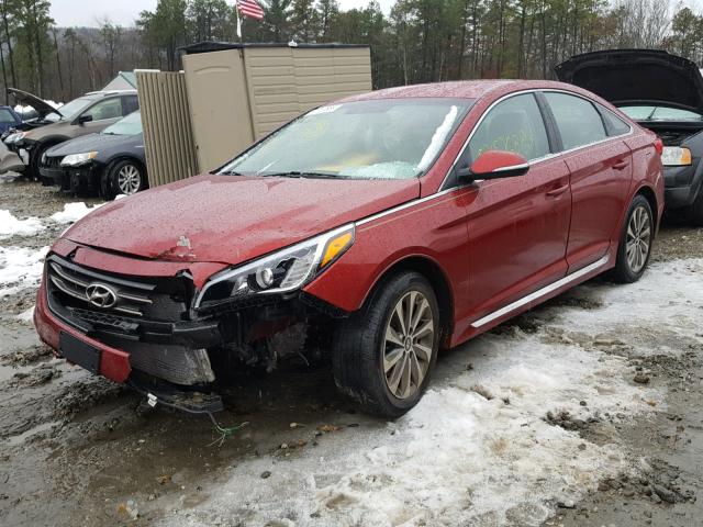 5NPE34AF3FH081059 - 2015 HYUNDAI SONATA SPO RED photo 2