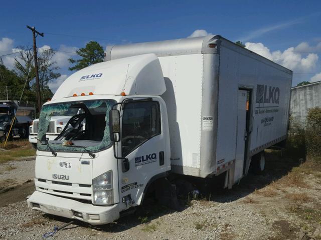 JALE5W160F7300097 - 2015 ISUZU NQR WHITE photo 2