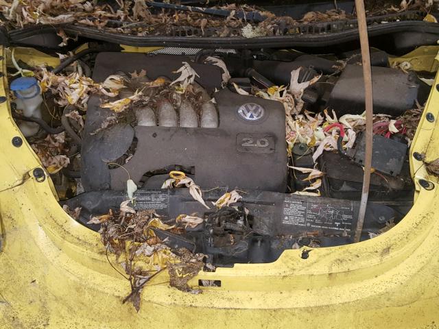 3VWCK21C93M424657 - 2003 VOLKSWAGEN NEW BEETLE 黄色 照片 7