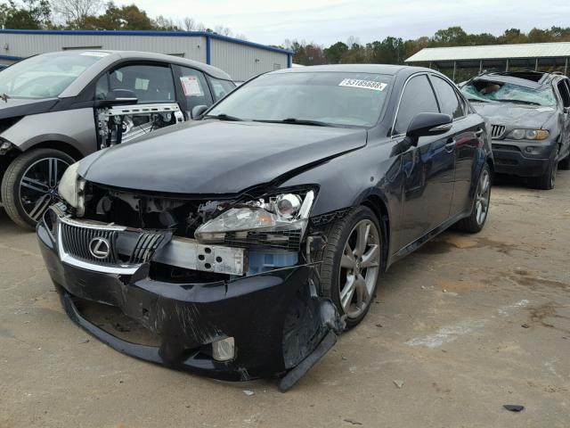 JTHBF5C23A5113770 - 2010 LEXUS IS 250 BLACK photo 2