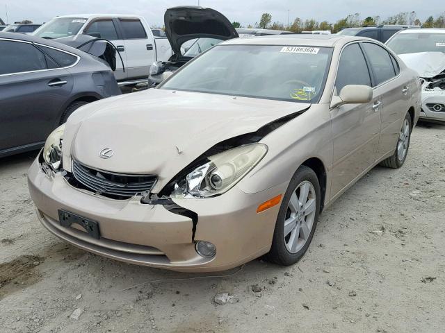 JTHBA30G155057451 - 2005 LEXUS ES 330 GOLD photo 2