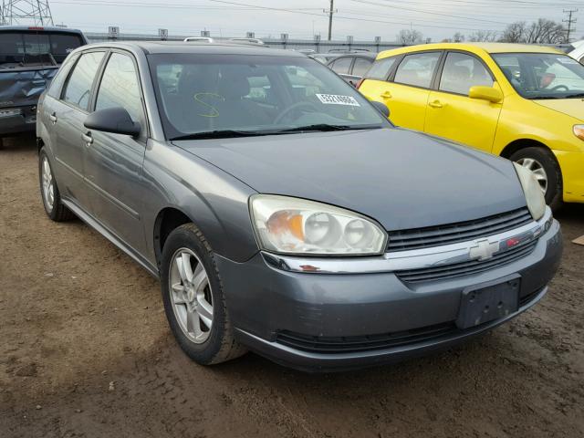 1G1ZT64845F133889 - 2005 CHEVROLET MALIBU MAX GRAY photo 1