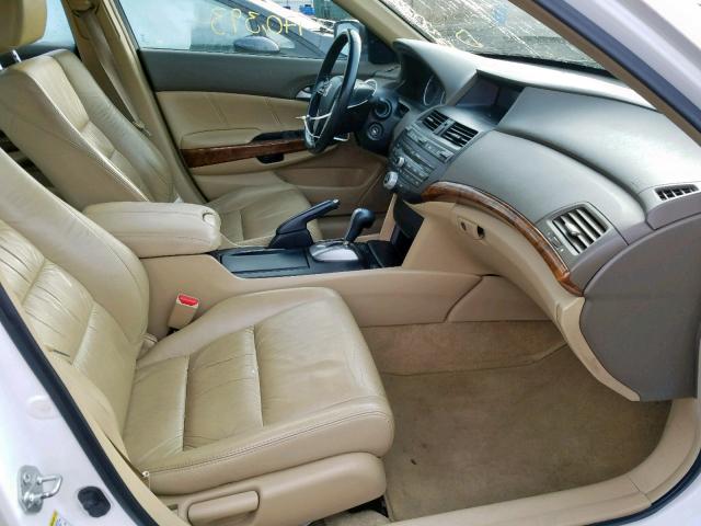 1HGCP26819A040422 - 2009 HONDA ACCORD EXL WHITE photo 5