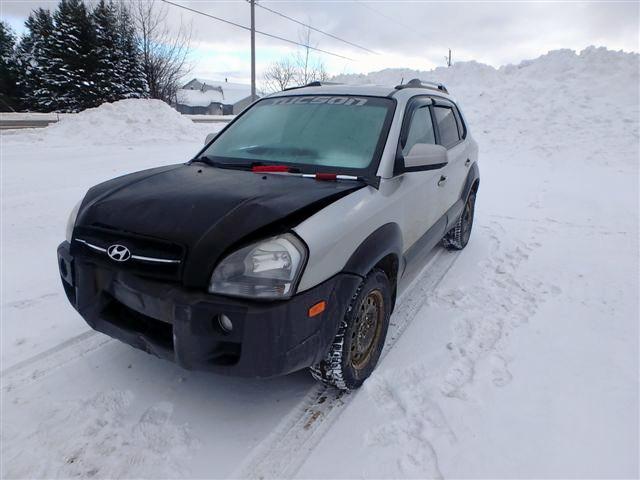 KM8JM72D86U405392 - 2006 HYUNDAI TUCSON GL GRAY photo 2