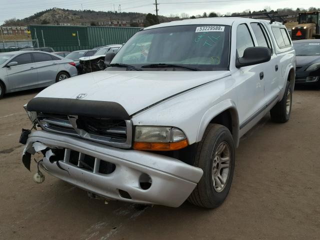 1D7HG48N63S314496 - 2003 DODGE DAKOTA QUA WHITE photo 2