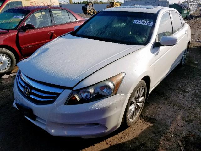 1HGCP3F81BA030436 - 2011 HONDA ACCORD EXL WHITE photo 2