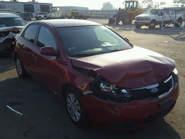 KNAFU4A21B5448420 - 2011 KIA FORTE EX RED photo 1