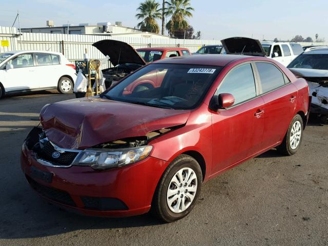 KNAFU4A21B5448420 - 2011 KIA FORTE EX RED photo 2