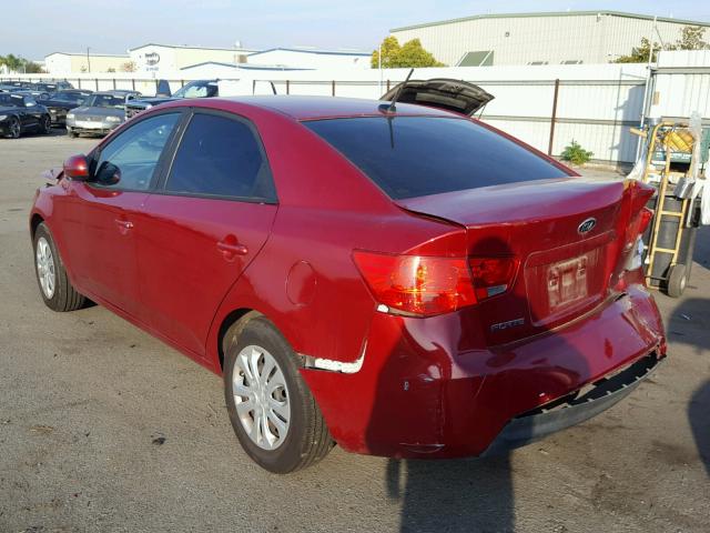 KNAFU4A21B5448420 - 2011 KIA FORTE EX RED photo 3