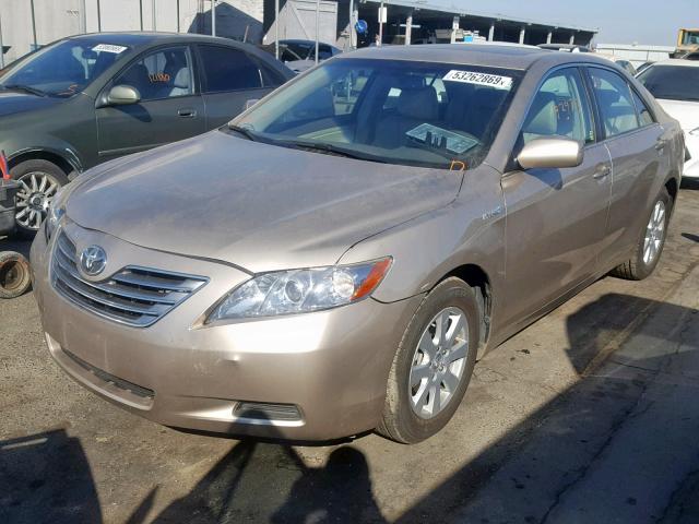 JTNBB46K073029036 - 2007 TOYOTA CAMRY HYBR GOLD photo 2