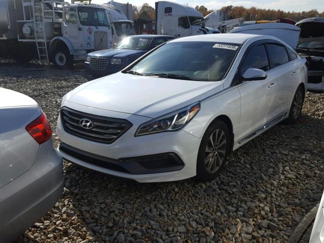 5NPE34AF8FH192965 - 2015 HYUNDAI SONATA SPO WHITE photo 2