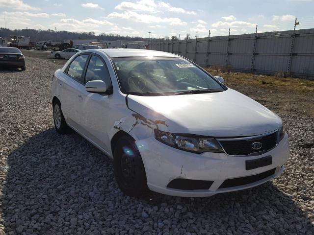 KNAFU4A26D5690493 - 2013 KIA FORTE EX WHITE photo 1