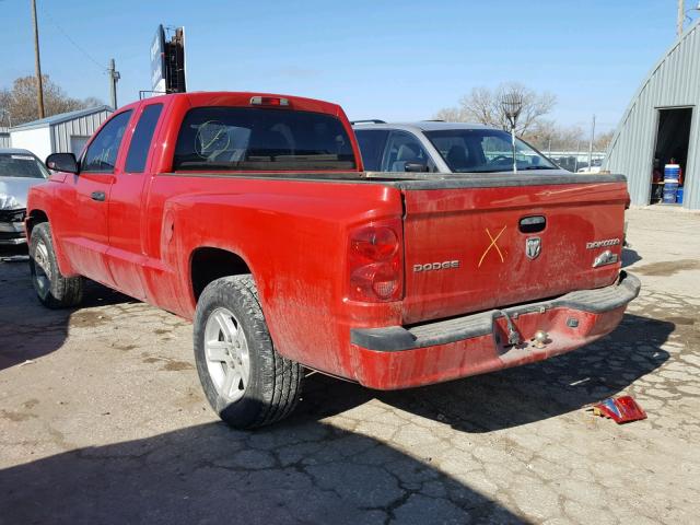 1D7RE3BK0BS564236 - 2011 DODGE DAKOTA SLT RED photo 3