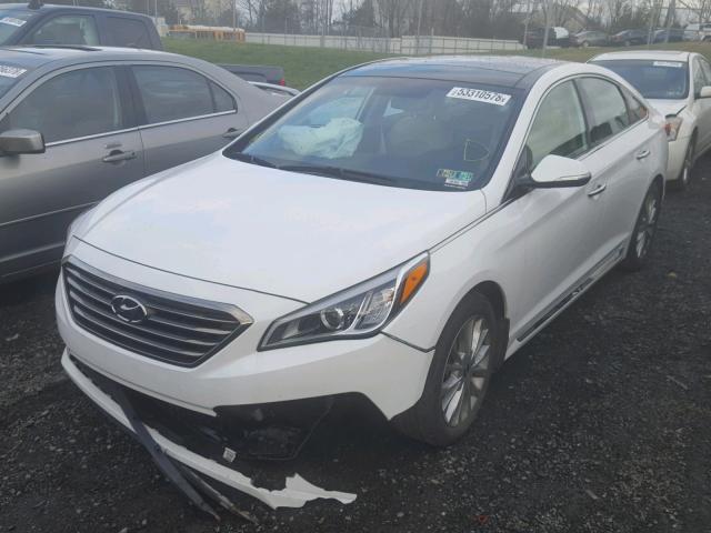 5NPE34AF4FH021307 - 2015 HYUNDAI SONATA SPO WHITE photo 2