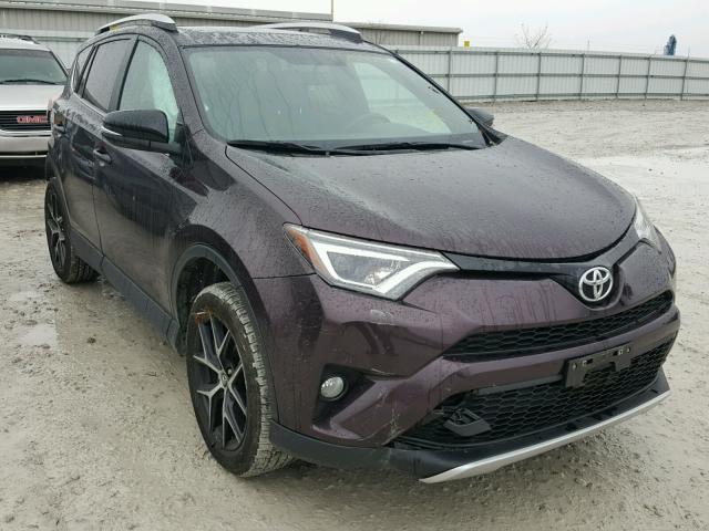 2T3JFREV2GW534067 - 2016 TOYOTA RAV4 SE PURPLE photo 1