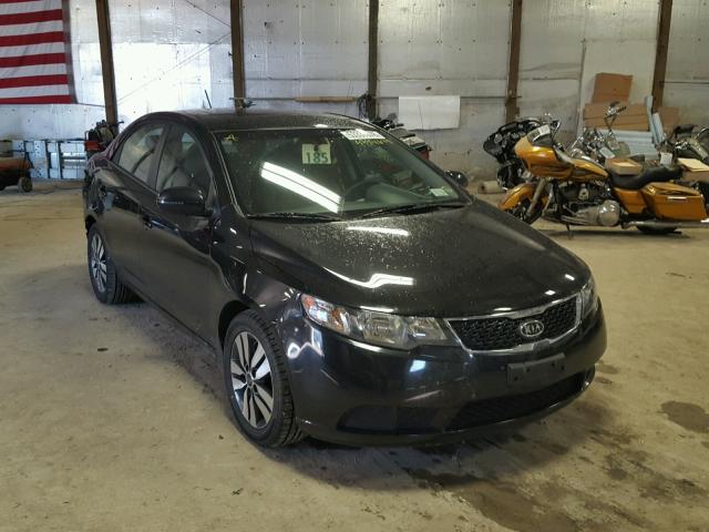 KNAFU4A21D5715946 - 2013 KIA FORTE EX BLACK photo 1