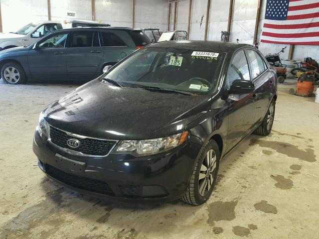 KNAFU4A21D5715946 - 2013 KIA FORTE EX BLACK photo 2