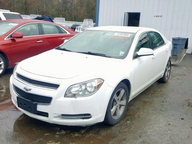 1G1ZC5EU7BF360429 - 2011 CHEVROLET MALIBU 1LT 白色 照片 2
