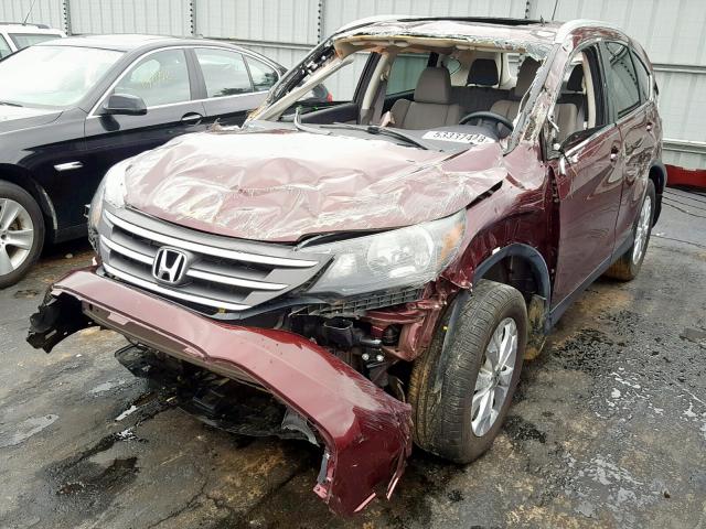 5J6RM4H70EL119896 - 2014 HONDA CR-V EXL BURGUNDY photo 2