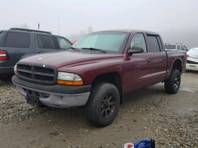 1D7HG48X73S227448 - 2003 DODGE DAKOTA QUA MAROON photo 2