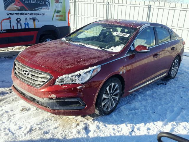 5NPE34AF5FH040819 - 2015 HYUNDAI SONATA SPO RED photo 2