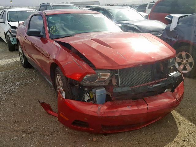 1ZVBP8AM1C5220515 - 2012 FORD MUSTANG RED photo 1