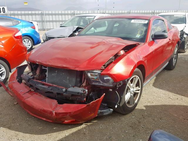 1ZVBP8AM1C5220515 - 2012 FORD MUSTANG RED photo 2
