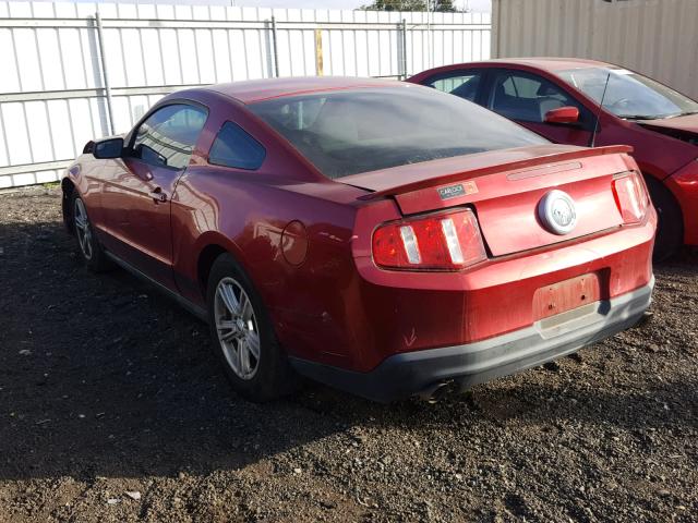 1ZVBP8AM1C5220515 - 2012 FORD MUSTANG RED photo 3