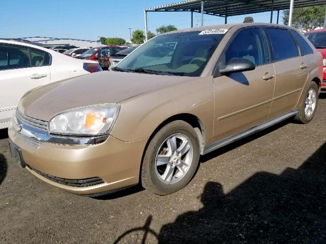 1G1ZT62895F308026 - 2005 CHEVROLET MALIBU MAX 金色 照片 2