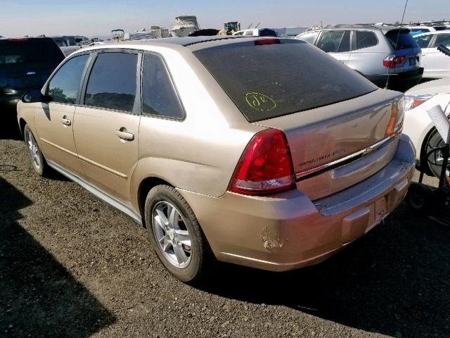 1G1ZT62895F308026 - 2005 CHEVROLET MALIBU MAX 金色 照片 3