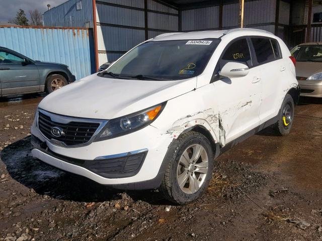 KNDPB3A22B7134593 - 2011 KIA SPORTAGE L WHITE photo 2