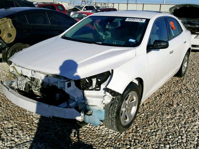 1G11B5SL8EF270996 - 2014 CHEVROLET MALIBU LS 白色 照片 2