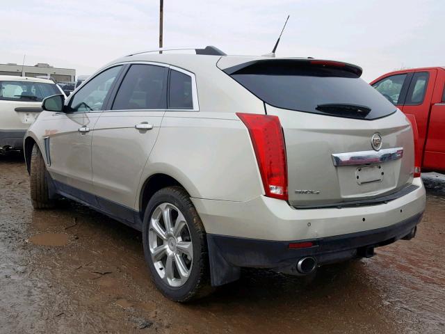 3GYFNHE39DS555096 - 2013 CADILLAC SRX PERFOR GOLD photo 3