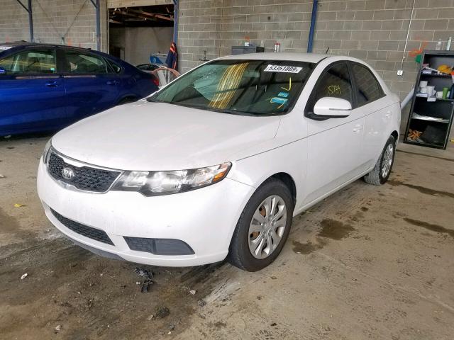 KNAFU4A28D5726295 - 2013 KIA FORTE EX WHITE photo 2