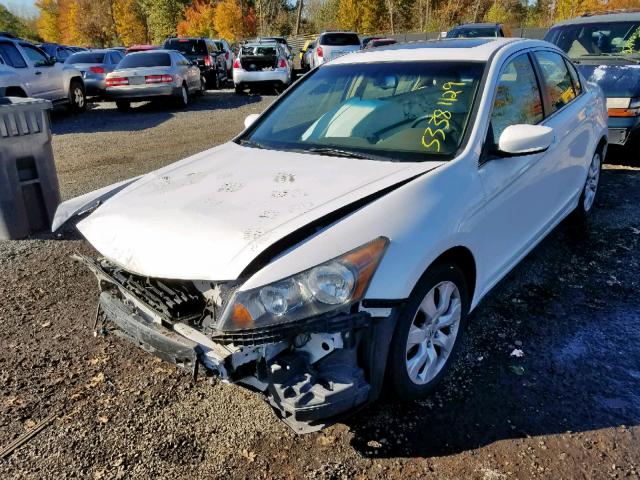 1HGCP26899A197132 - 2009 HONDA ACCORD EXL WHITE photo 2