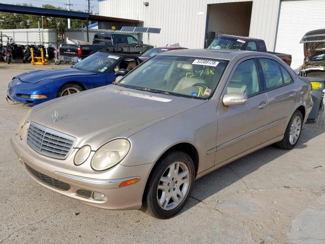 WDBUF65J23A156932 - 2003 MERCEDES-BENZ E 320 GOLD photo 2