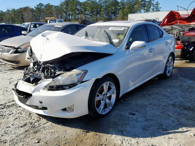 JTHBF5C26A5109583 - 2010 LEXUS IS 250 WHITE photo 2