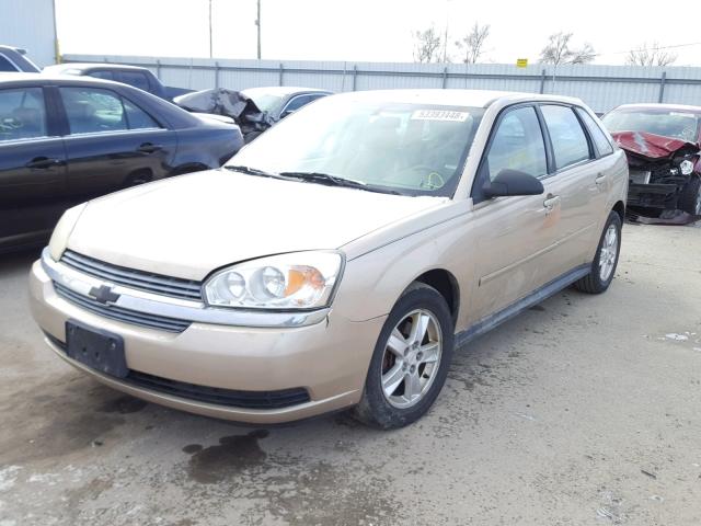 1G1ZT62875F115051 - 2005 CHEVROLET MALIBU MAX ოქროსფერი ფოტო 2