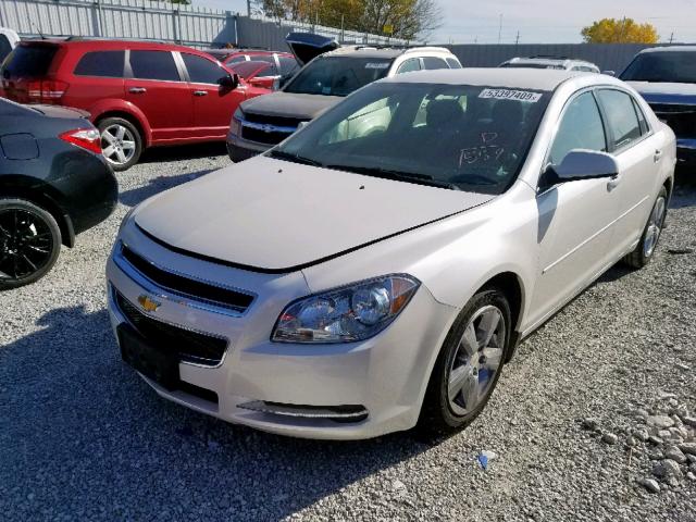 1G1ZC5E1XBF331559 - 2011 CHEVROLET MALIBU 1LT 白色 照片 2