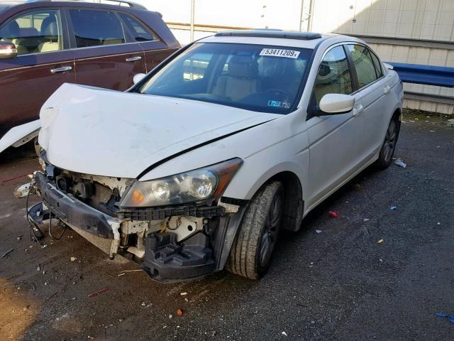 1HGCP2F80BA007515 - 2011 HONDA ACCORD EXL WHITE photo 2