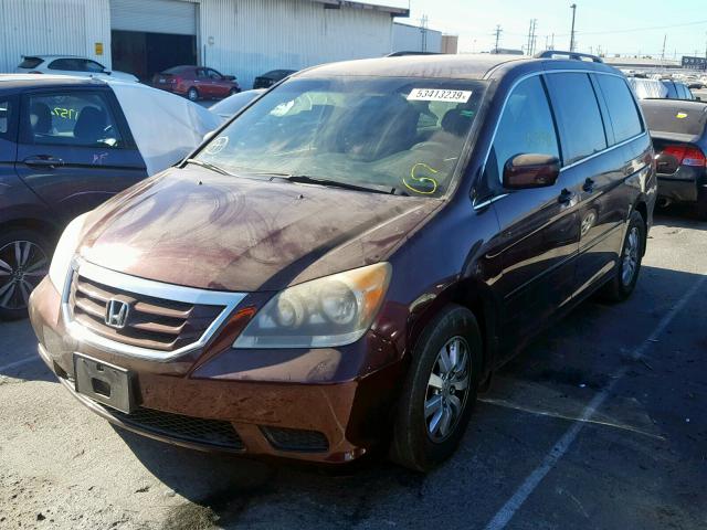 5FNRL3H44AB031164 - 2010 HONDA ODYSSEY EX BURGUNDY photo 2