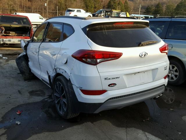 KM8J3CA28HU518015 - 2017 HYUNDAI TUCSON LIM WHITE photo 3