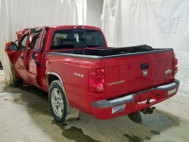 1D7HW38K18S580115 - 2008 DODGE DAKOTA SXT RED photo 3