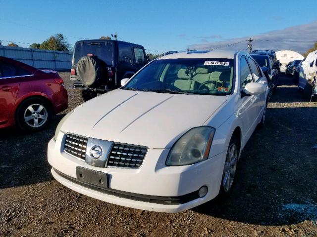 1N4BA41E04C849028 - 2004 NISSAN MAXIMA SE WHITE photo 2