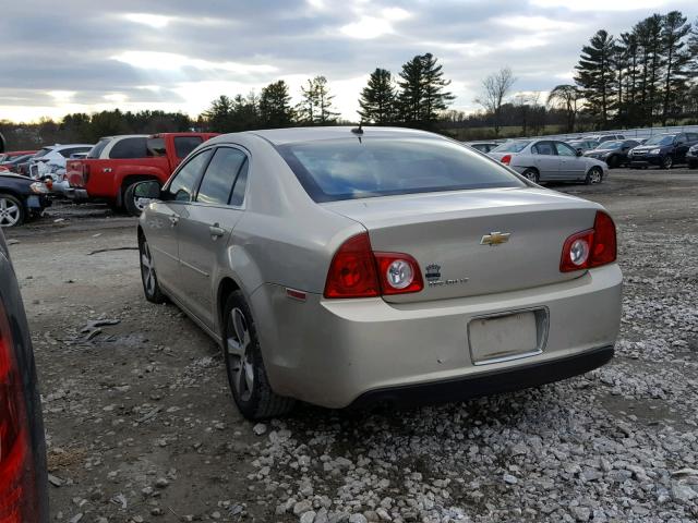 1G1ZC5E15BF128482 - 2011 CHEVROLET MALIBU 1LT TAN photo 3