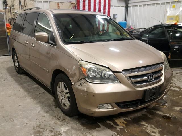 5FNRL38876B107650 - 2006 HONDA ODYSSEY TO GOLD photo 1