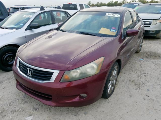 1HGCP368X8A031030 - 2008 HONDA ACCORD EXL MAROON photo 2