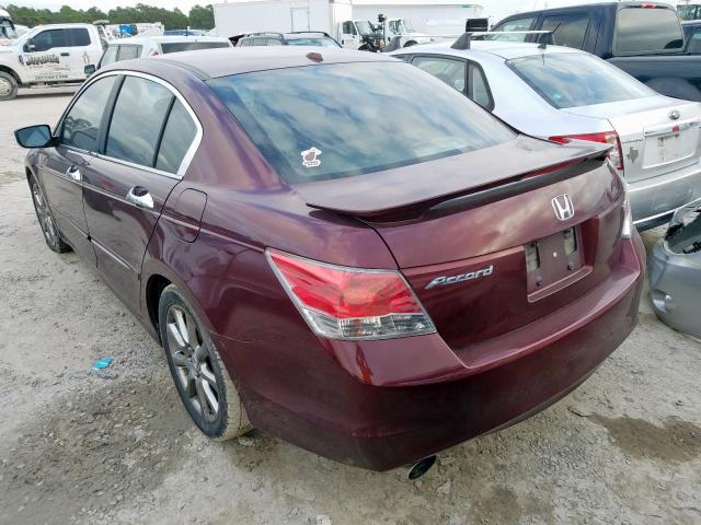 1HGCP368X8A031030 - 2008 HONDA ACCORD EXL MAROON photo 3