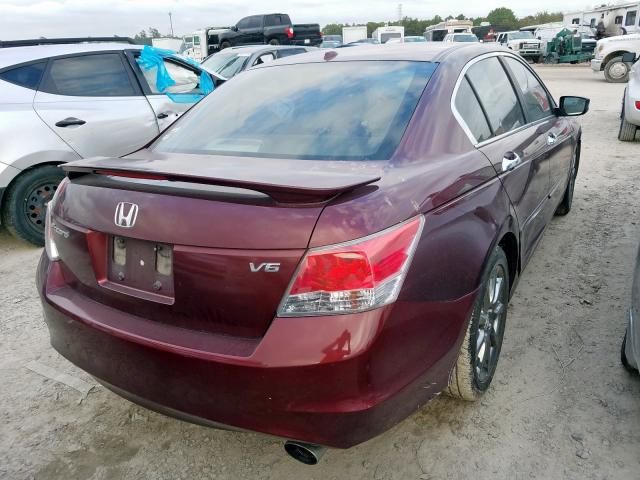 1HGCP368X8A031030 - 2008 HONDA ACCORD EXL MAROON photo 4