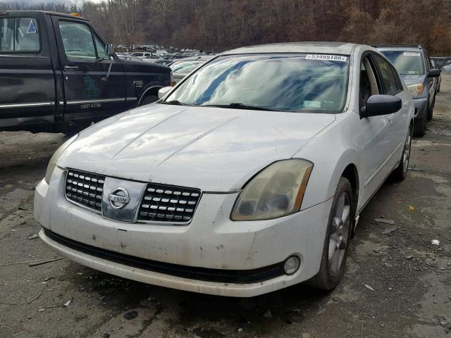 1N4BA41E74C894547 - 2004 NISSAN MAXIMA SE WHITE photo 2